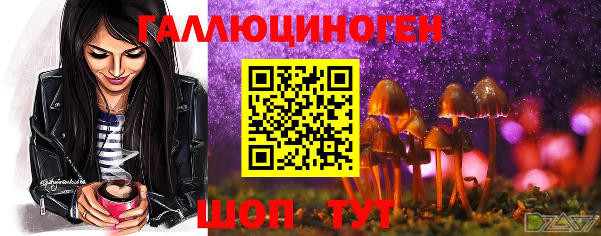 Галлюциногенные грибы Cubensis Гай