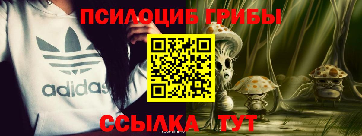 Гай  Галлюциногенные грибы мицелий  Вход с VPN 